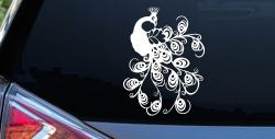 Peacock Swirl Feathers Car or Truck Window Decal Sticker
