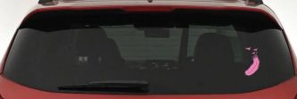 Feather Turning Into Birds Car or Truck Window Decal Sticker (Pink)