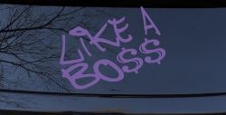 Like A Boss Funny Car or Truck Window Vinyl Decal Sticker (Purple)