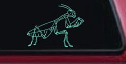 Praying Mantis Animals Car or Truck Window Decal Sticker (Mint)