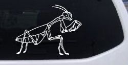Praying Mantis Animals Car or Truck Window Decal Sticker
