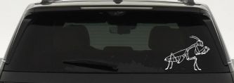 Praying Mantis Animals Car or Truck Window Decal Sticker (White)