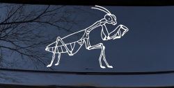 Praying Mantis Animals Car or Truck Window Decal Sticker