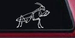 Praying Mantis Animals Car or Truck Window Decal Sticker