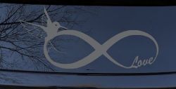 Hummingbird Love Infinity Girlie Car or Truck Window Decal Sticker (Silver)