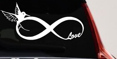 Hummingbird Love Infinity Girlie Car or Truck Window Vinyl Decal Sticker