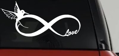 Hummingbird Love Infinity Girlie Car or Truck Window Vinyl Decal Sticker