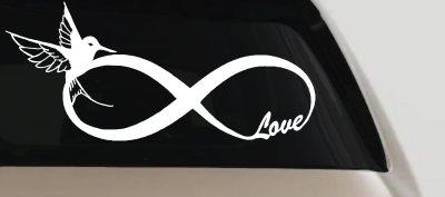 Hummingbird Love Infinity Girlie Car or Truck Window Vinyl Decal Sticker