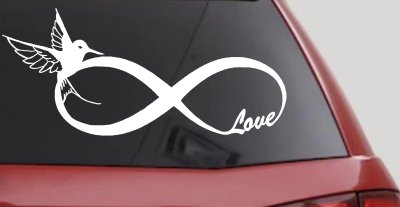 Hummingbird Love Infinity Girlie Car or Truck Window Vinyl Decal Sticker