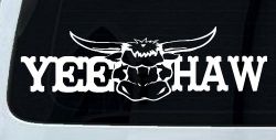 Yee Haw with Longhorn Skull Country Car or Truck Window Decal Sticker