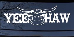 Yee Haw with Longhorn Skull Country Car or Truck Window Decal Sticker
