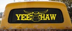 Yee Haw with Longhorn Skull Country Car or Truck Window Decal Sticker (Yellow)