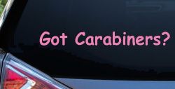 Got Carabiners Car or Truck Window Vinyl Decal Sticker (Pink)