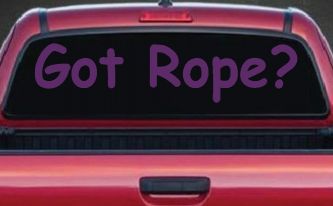 Got Rope Repelling Car or Truck Window Decal Sticker (Violet)