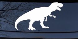 T Rex Funny Car or Truck Window Decal Sticker
