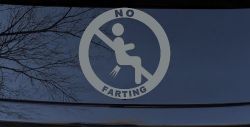 No Farting Pooting Passing Gas Funny Car or Truck Window Decal Sticker (Telegrey)