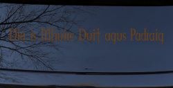 Dia Is Mhuire Duit Agus Padraig God Mary St Patrick With You Car or Truck Window Decal Sticker (Copper)