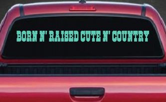 Born N Raised Cute N Country Car or Truck Window Vinyl Decal Sticker (Mint)