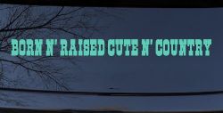 Born N Raised Cute N Country Car or Truck Window Vinyl Decal Sticker (Mint)