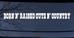 Born N Raised Cute N Country Car or Truck Window Decal Sticker