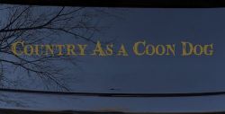 Country As A Coon Dog Hunting Car or Truck Window Vinyl Decal Sticker (Gold)