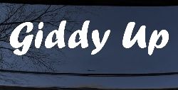 Giddy Up Car or Truck Window Decal Sticker