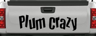 Plum Crazy Car or Truck Window Decal Sticker (Black)