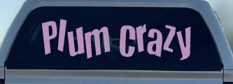 Plum Crazy Car or Truck Window Vinyl Decal Sticker (Lilac)