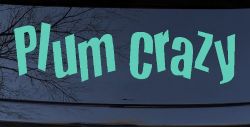 Plum Crazy Car or Truck Window Decal Sticker (Mint)