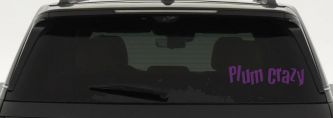 Plum Crazy Car or Truck Window Decal Sticker (Violet)