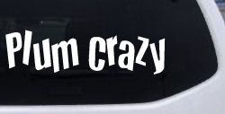 Plum Crazy Car or Truck Window Decal Sticker
