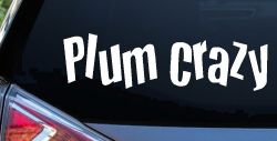 Plum Crazy Car or Truck Window Decal Sticker