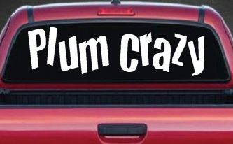 Plum Crazy Car or Truck Window Decal Sticker