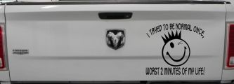 I Tryed To Be Normal Once Funny Car or Truck Window Decal Sticker (Black)