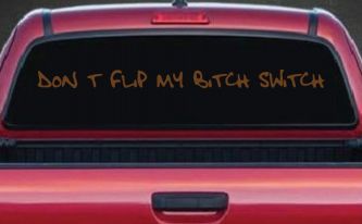 Dont Flip My Bitch Switch Car or Truck Window Decal Sticker (Copper)