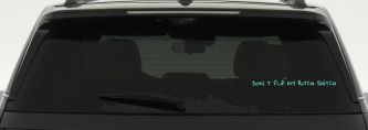 Dont Flip My Bitch Switch Car or Truck Window Decal Sticker (Mint)