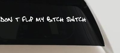 Dont Flip My Bitch Switch Car or Truck Window Vinyl Decal Sticker