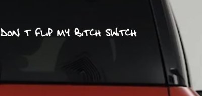 Dont Flip My Bitch Switch Car or Truck Window Vinyl Decal Sticker