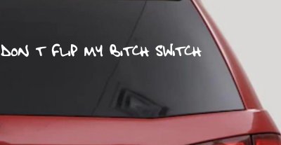 Dont Flip My Bitch Switch Car or Truck Window Vinyl Decal Sticker