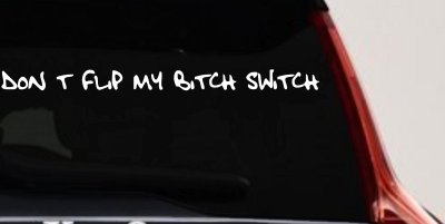 Dont Flip My Bitch Switch Car or Truck Window Vinyl Decal Sticker