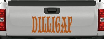 Dilligaf Do I look Like A Give A FxxK Funny Car or Truck Window Decal Sticker (Nut Brown)