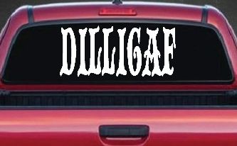 Dilligaf Do I look Like A Give A FxxK Funny Car or Truck Window Decal Sticker