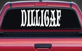 Dilligaf Do I look Like A Give A FxxK Funny Car or Truck Window Decal Sticker