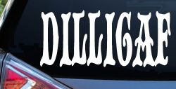 Dilligaf Do I look Like A Give A FxxK Funny Car or Truck Window Decal Sticker