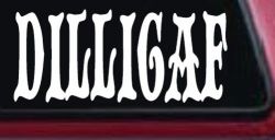 Dilligaf Do I look Like A Give A FxxK Funny Car or Truck Window Decal Sticker