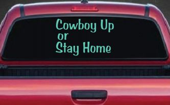Cowboy Up Or Stay Home Western Car or Truck Window Vinyl Decal Sticker (Mint)