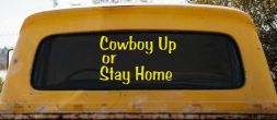 Cowboy Up Or Stay Home Western Car or Truck Window Decal Sticker (Yellow)