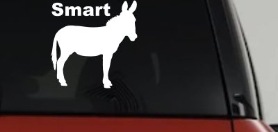 Smart Ass Funny Car or Truck Window Vinyl Decal Sticker