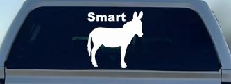 Smart Ass Funny Car or Truck Window Decal Sticker