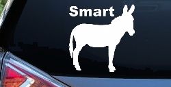 Smart Ass Funny Car or Truck Window Decal Sticker